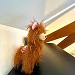 O ヴィルトン